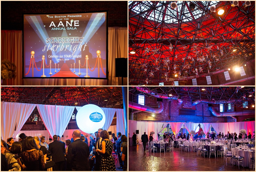 AANE 2014 Event Charity Gala