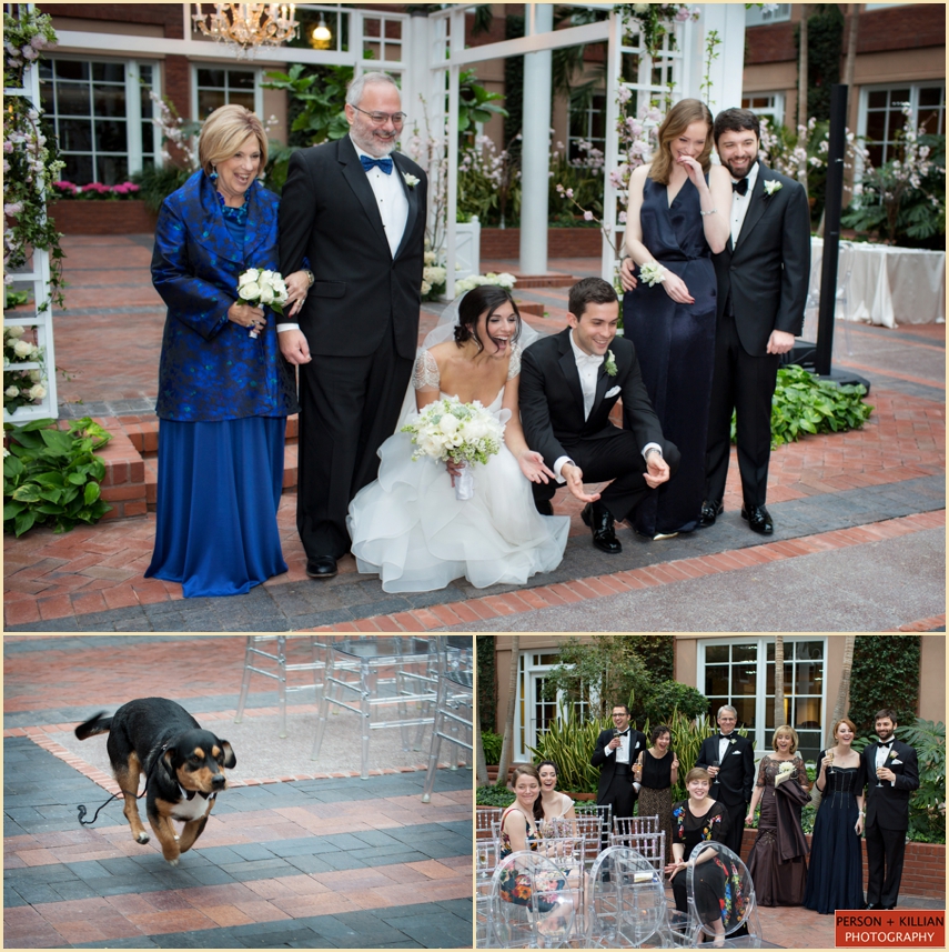 Candid Wedding Family Portraits with Family Dogs by Jill Person Photography
