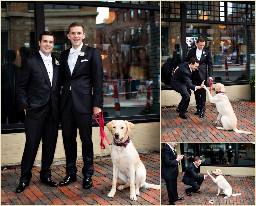 two-grooms-one-lab-south-boston-wedding